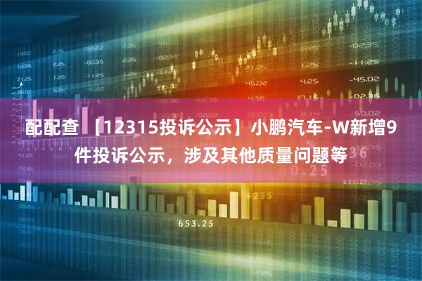 配配查 【12315投诉公示】小鹏汽车-W新增9件投诉公示，涉及其他质量问题等