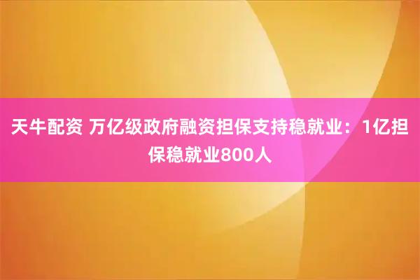 天牛配资 万亿级政府融资担保支持稳就业：1亿担保稳就业800人