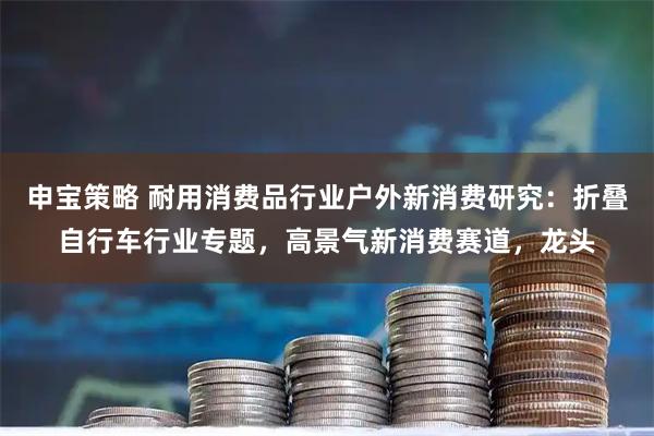 申宝策略 耐用消费品行业户外新消费研究：折叠自行车行业专题，高景气新消费赛道，龙头