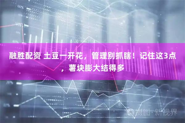 融胜配资 土豆一开花，管理别抓瞎！记住这3点，薯块膨大结得多