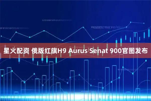 星火配资 俄版红旗H9 Aurus Senat 900官图发布